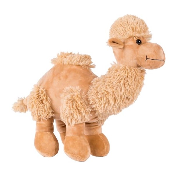 [Image: 22121107033323064118067528.jpg]