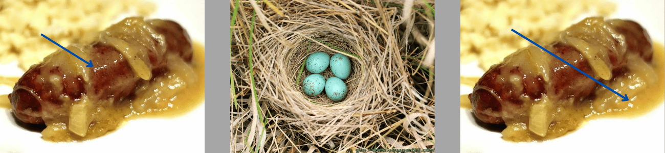 [Image: 22121610543212165218070503.png]